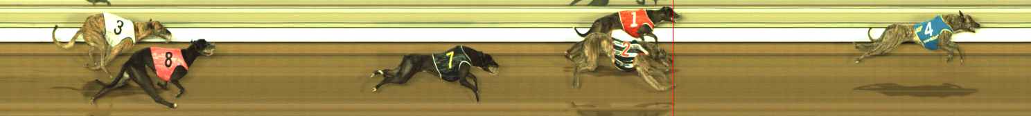 Photo finish for The Meadows Race 6