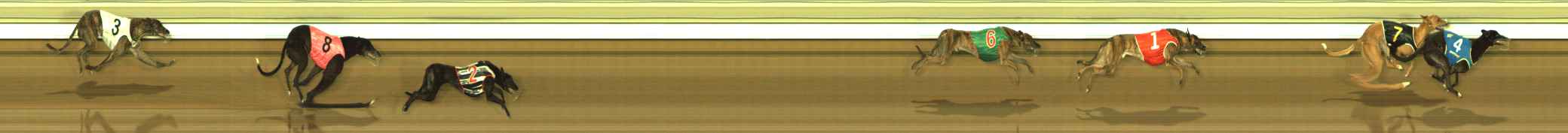 Photo finish for The Meadows Race 8