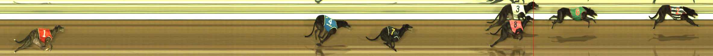 Photo finish for The Meadows Race 10