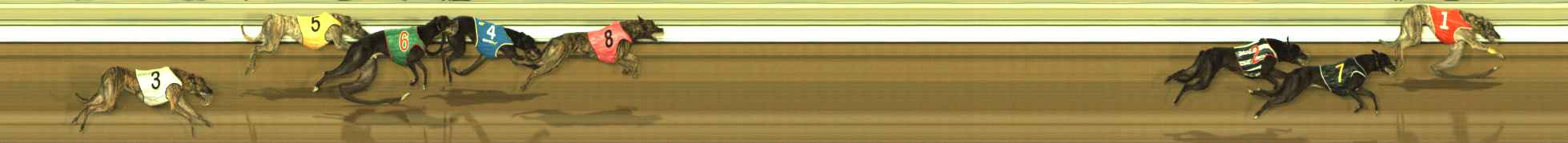 Photo finish for The Meadows Race 11