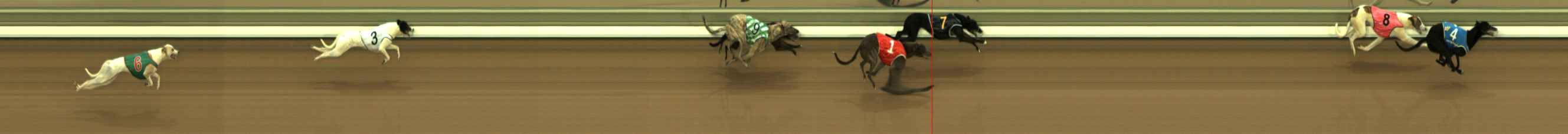Photo finish for The Meadows Race 1