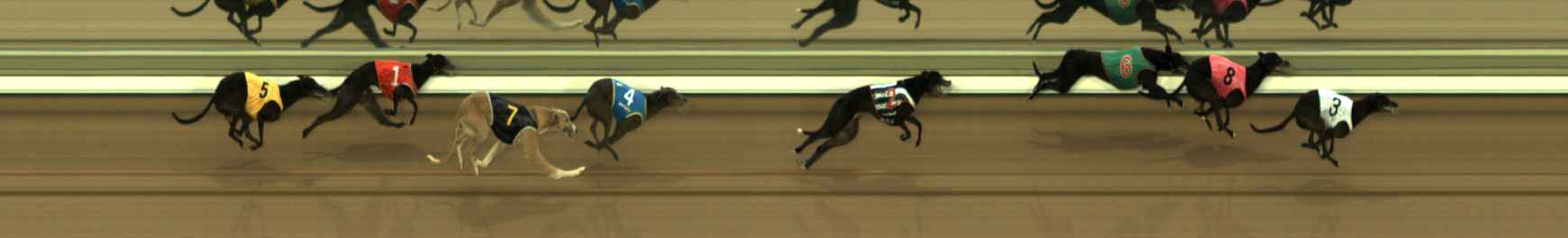 Photo finish for The Meadows Race 4