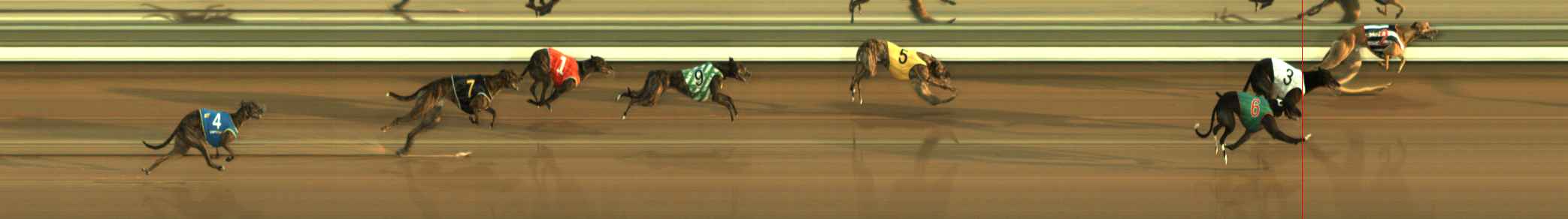 Photo finish for The Meadows Race 5