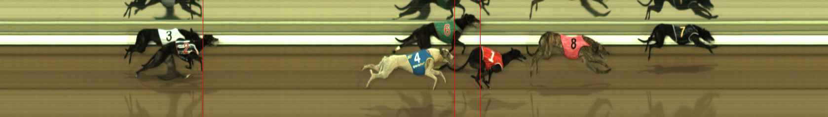 Photo finish for The Meadows Race 6