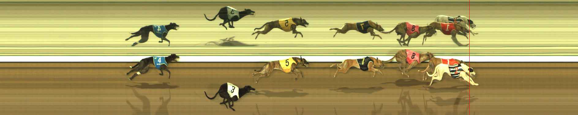 Photo finish for The Meadows Race 8