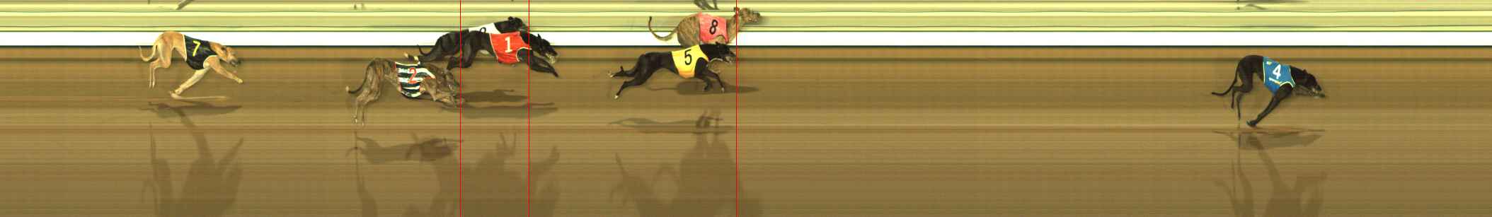 Photo finish for The Meadows Race 9