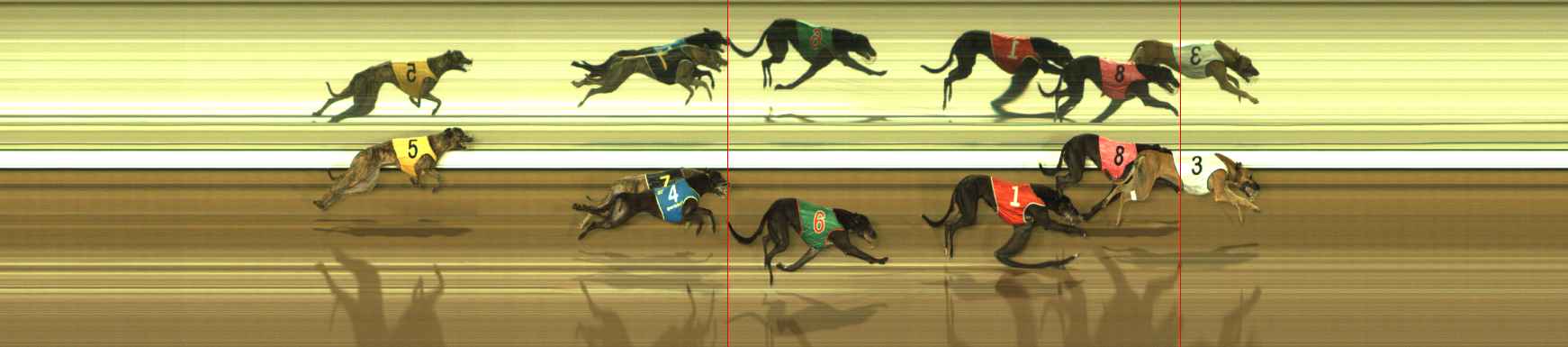 Photo finish for The Meadows Race 11