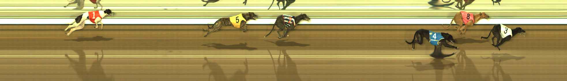 Photo finish for The Meadows Race 12