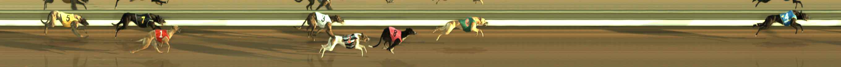 Photo finish for The Meadows Race 5