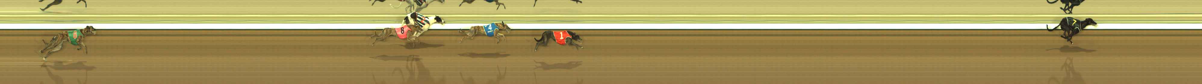 Photo finish for The Meadows Race 7