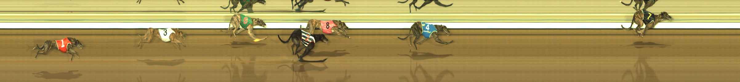 Photo finish for The Meadows Race 8
