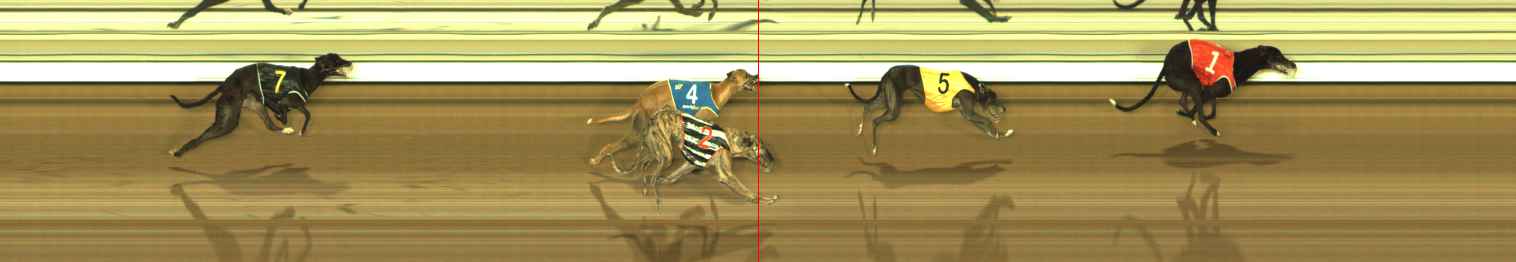 Photo finish for The Meadows Race 9