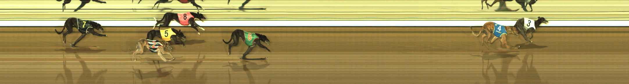 Photo finish for The Meadows Race 11