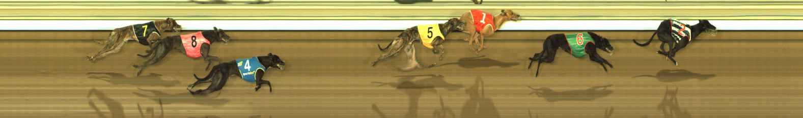 Photo finish for The Meadows Race 12
