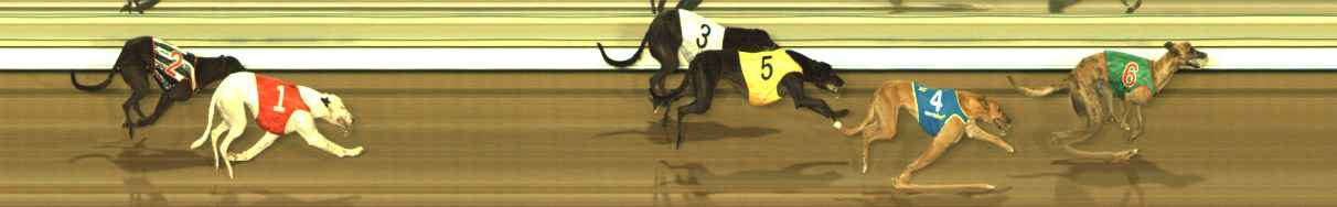 Photo finish for The Meadows Race 8