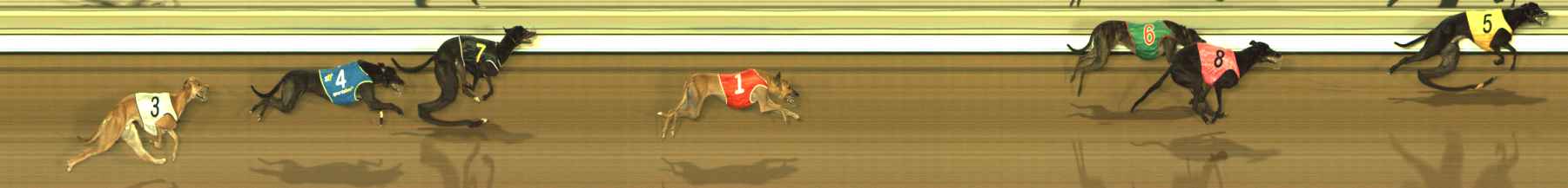 Photo finish for The Meadows Race 10