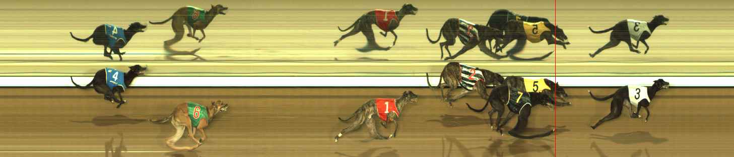 Photo finish for The Meadows Race 12