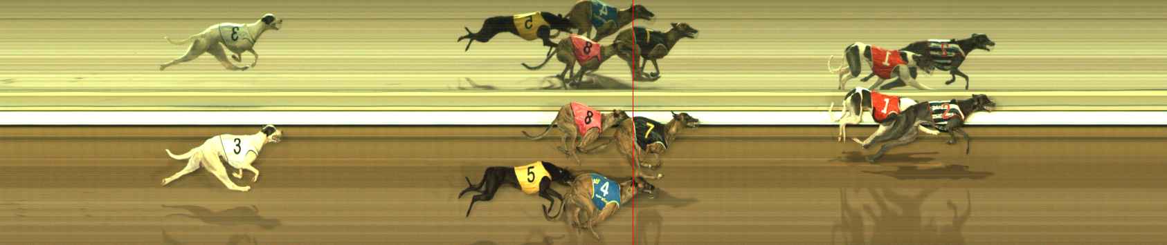 Photo finish for The Meadows Race 8