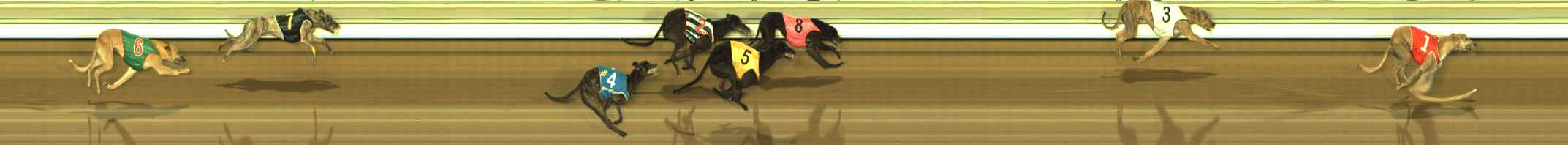 Photo finish for The Meadows Race 10