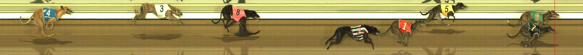 Photo finish for The Meadows Race 11