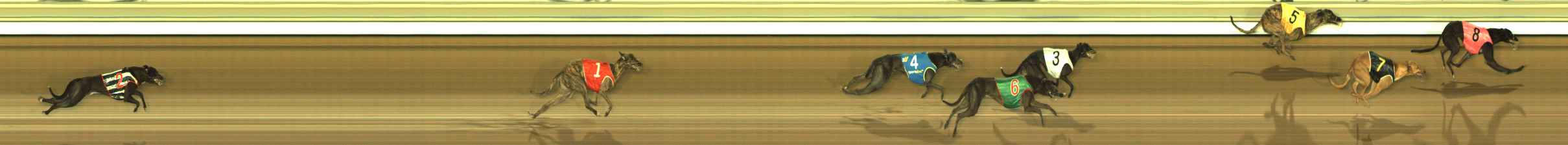 Photo finish for The Meadows Race 12