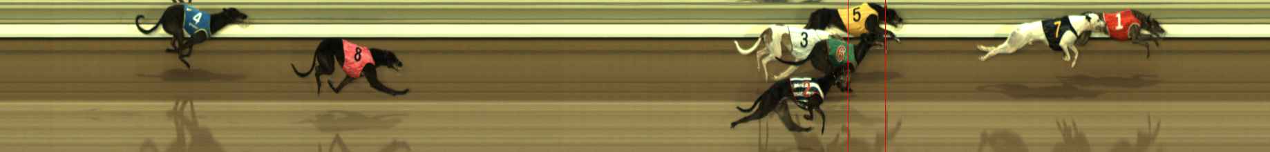 Photo finish for The Meadows Race 4