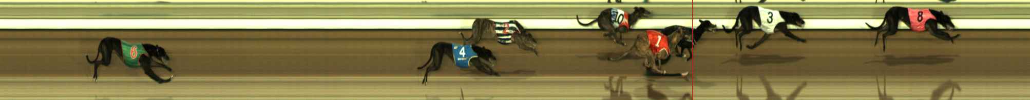 Photo finish for The Meadows Race 5