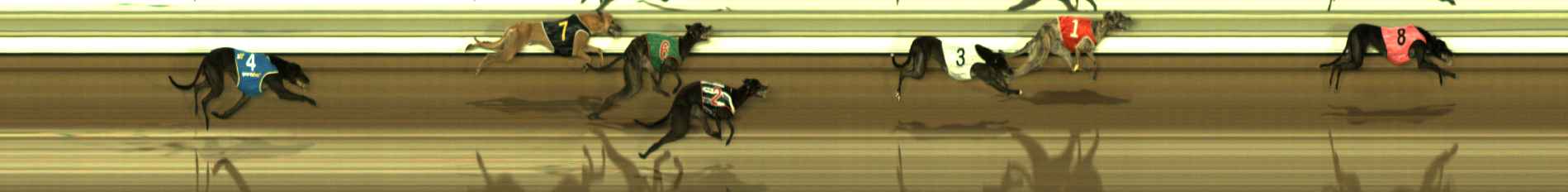 Photo finish for The Meadows Race 6