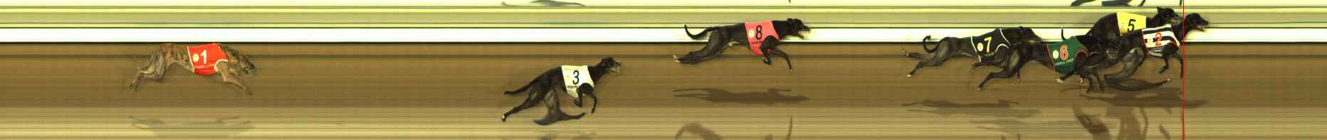 Photo finish for The Meadows Race 8