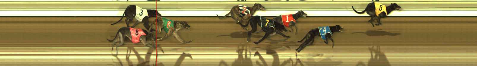 Photo finish for The Meadows Race 11