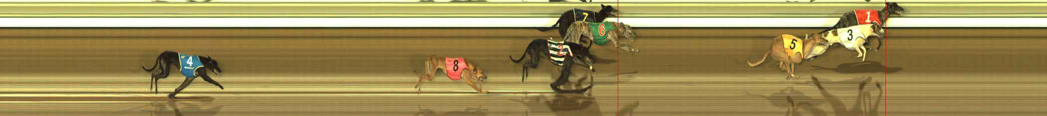Photo finish for The Meadows Race 12