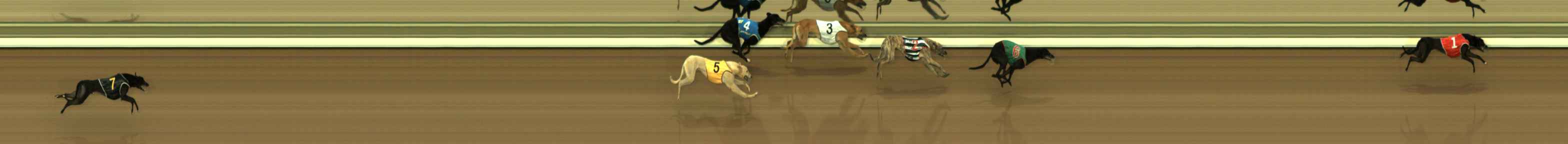 Photo finish for The Meadows Race 2