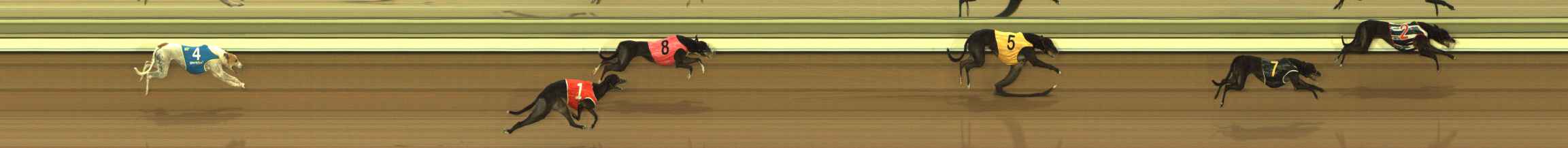 Photo finish for The Meadows Race 4