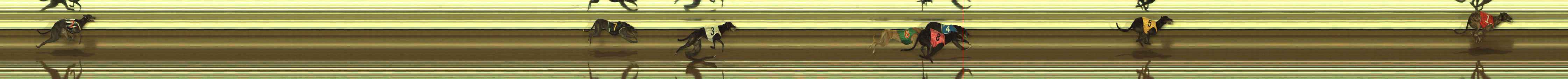 Photo finish for The Meadows Race 7