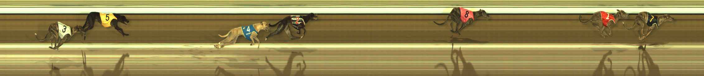 Photo finish for The Meadows Race 8