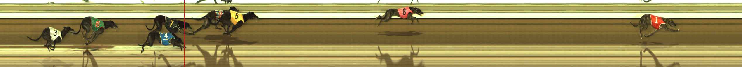 Photo finish for The Meadows Race 11