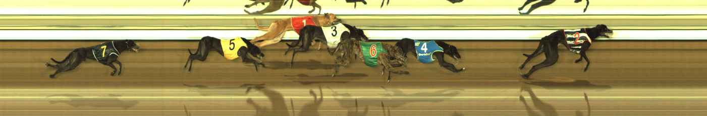 Photo finish for The Meadows Race 12