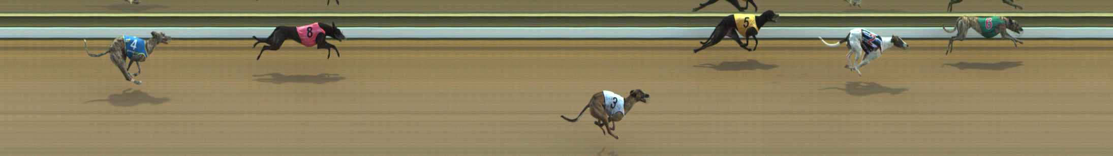 Photo finish for The Meadows Race 3