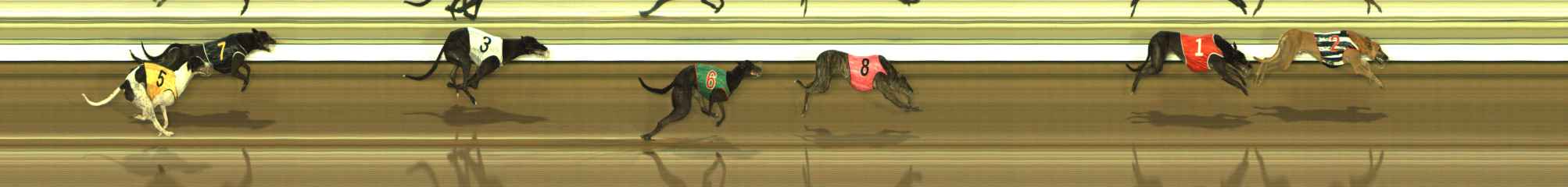 Photo finish for The Meadows Race 5