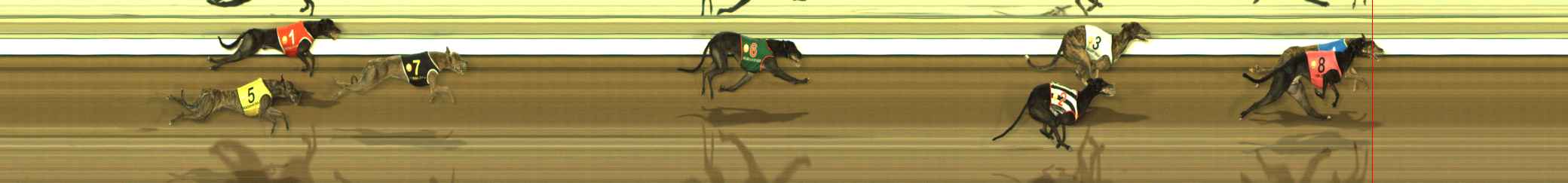 Photo finish for The Meadows Race 10