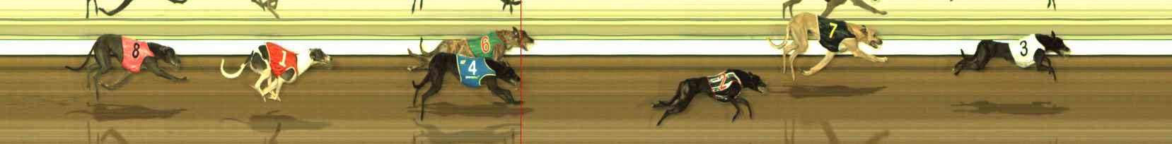 Photo finish for The Meadows Race 11