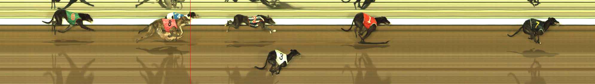 Photo finish for The Meadows Race 12