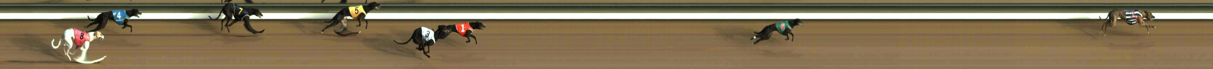 Photo finish for The Meadows Race 1