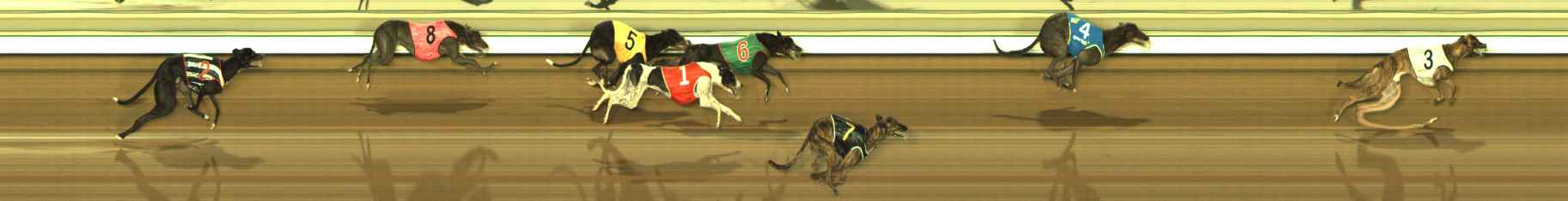 Photo finish for The Meadows Race 8