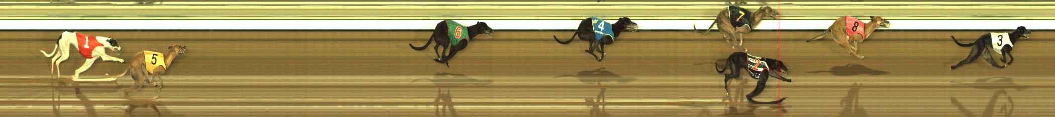 Photo finish for The Meadows Race 10