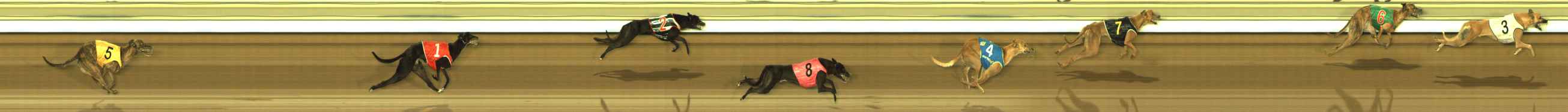 Photo finish for The Meadows Race 11
