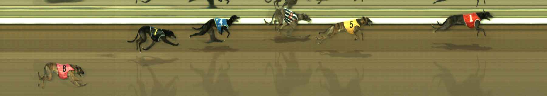 Photo finish for The Meadows Race 4