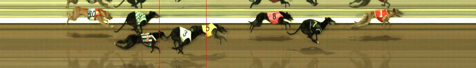 Photo finish for The Meadows Race 5