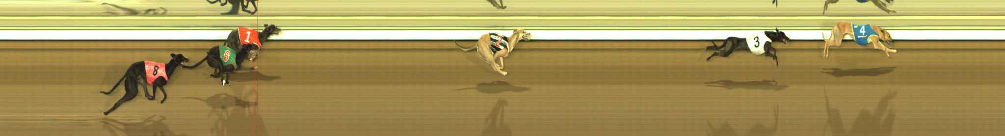 Photo finish for The Meadows Race 6