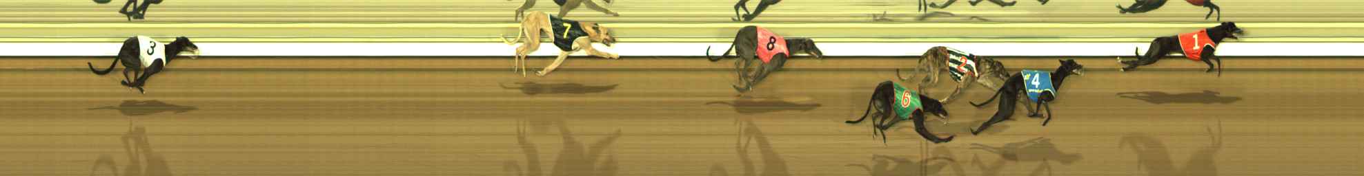 Photo finish for The Meadows Race 7